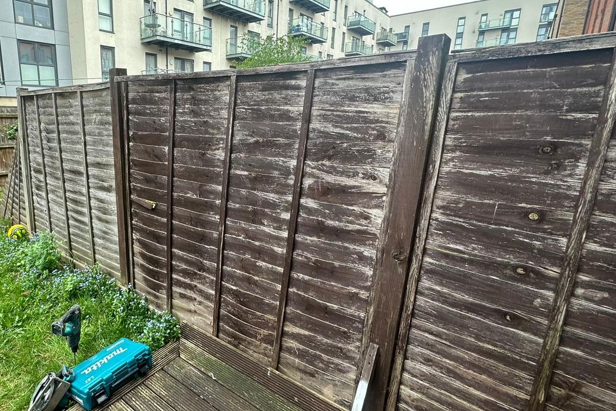 The same boundary before work: dark, weathered lap panels leaning on rotten timber posts