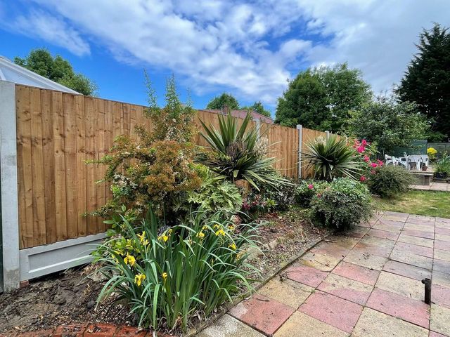 New closeboard fence panels behind a planted garden border