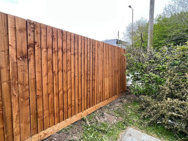New closeboard fence panels beside a shrub border